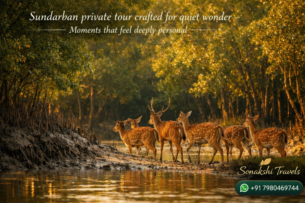 Sundarban private tour crafted for quiet wonder - Moments that feel deeply personal