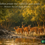 Sundarban private tour crafted for quiet wonder - Moments that feel deeply personal
