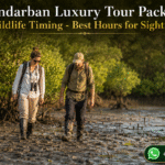 Sundarban Luxury Tour Package Wildlife Timing - Best Hours for Sightings