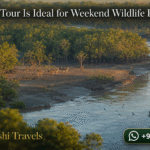 Sundarban Tour Is Ideal for Weekend Wildlife Photography